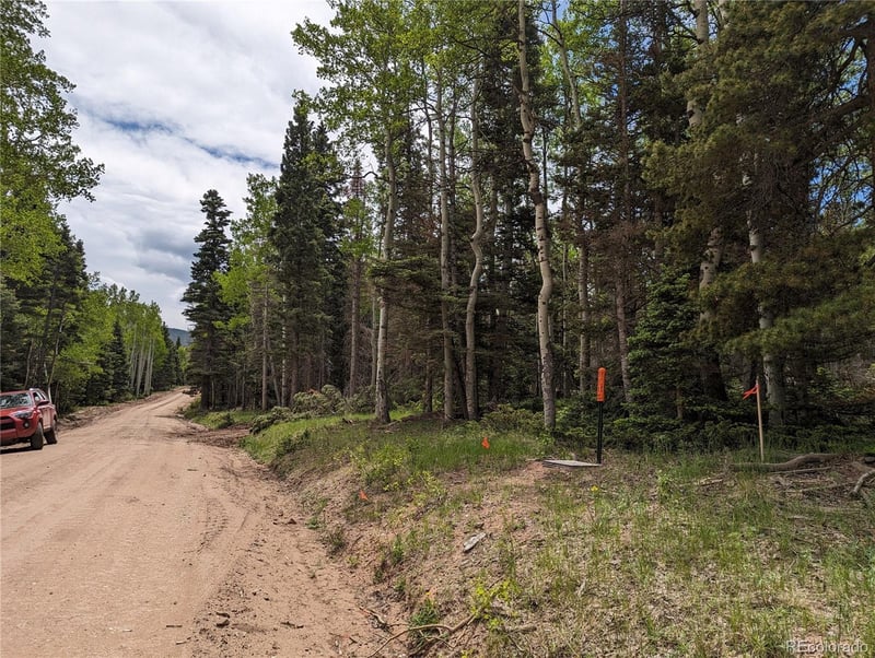 2904 Henderson Dr, Fort Garland, CO 81133