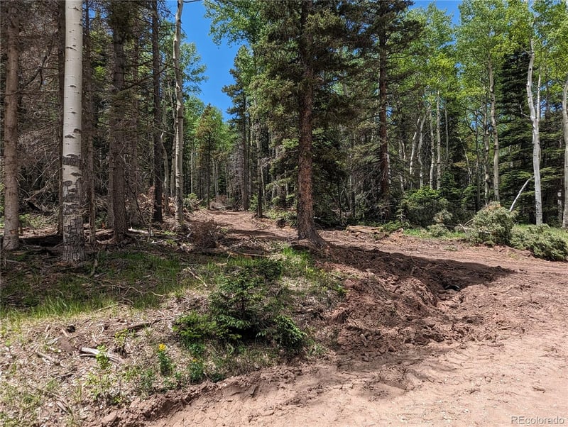 2904 Henderson Dr, Fort Garland, CO 81133