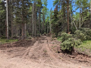 2904 Henderson Dr, Fort Garland, CO 81133