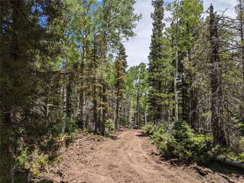 2904 Henderson Dr, Fort Garland, CO 81133