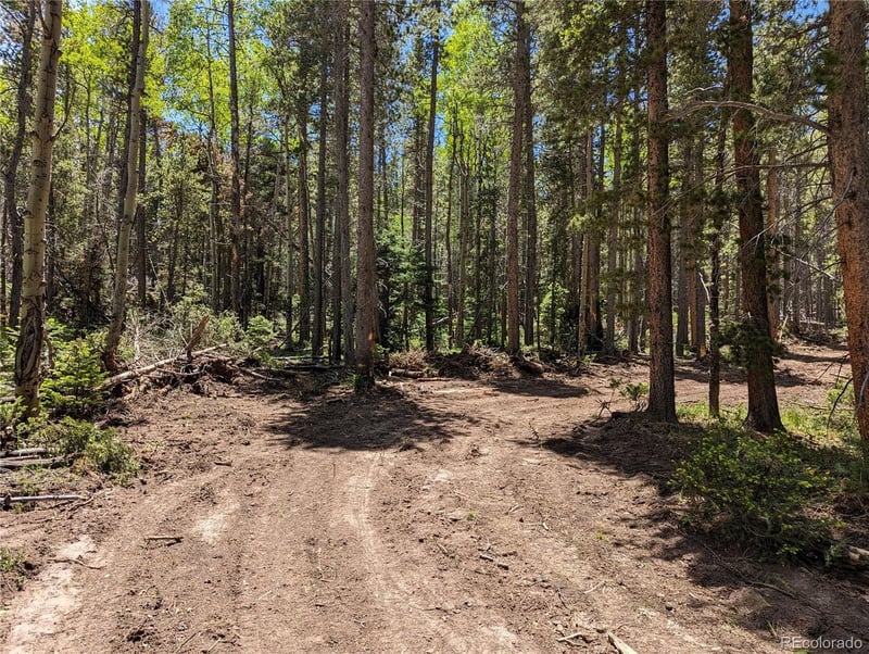 2905 Forbes Park Loop, Fort Garland, CO 81133