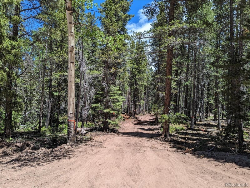 2905 Forbes Park Loop, Fort Garland, CO 81133