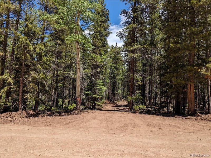 2905 Forbes Park Loop, Fort Garland, CO 81133