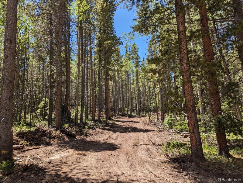 2905 Forbes Park Loop, Fort Garland, CO 81133