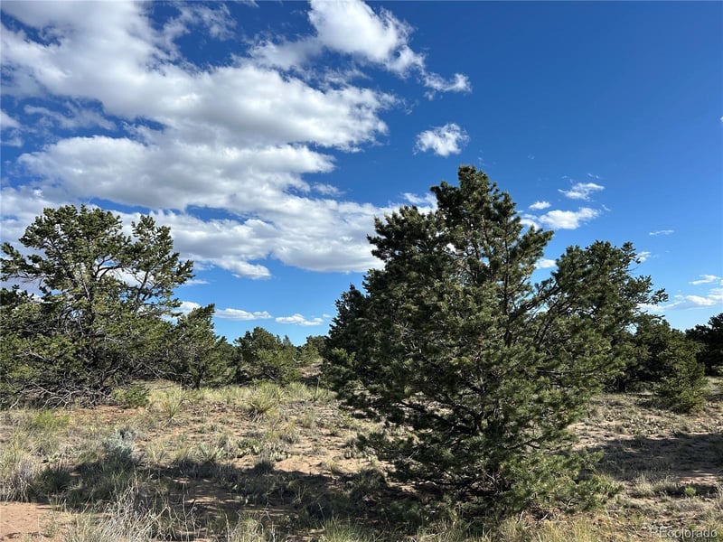 322 Holiday Overlook, Crestone, CO 81131