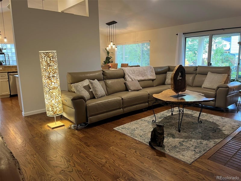 10025 Teton Ct, Lone Tree, CO 80124