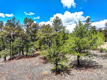 104 York Ct, Jefferson, CO 80456
