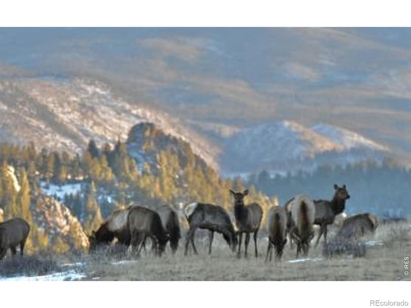 0 Red Feather Lake Rd 13, Livermore, CO 80536