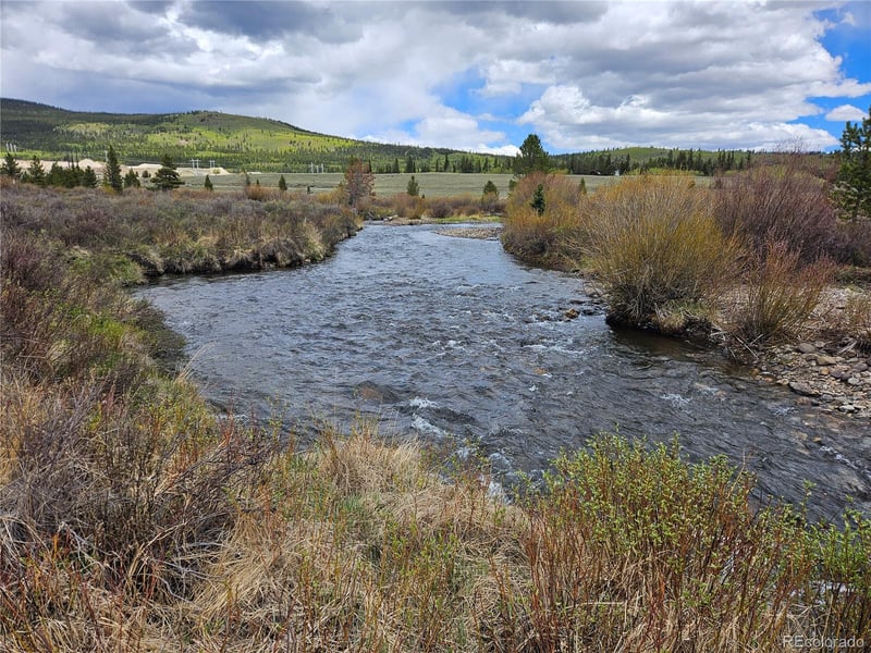 700 Looney Ln, Alma, CO 80420