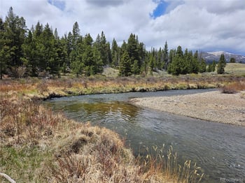 700 Looney Ln, Alma, CO 80420