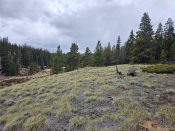 700 Looney Ln, Alma, CO 80420