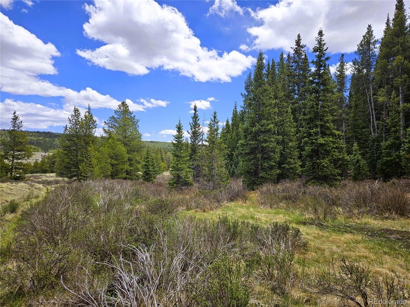Looney Ln, Fairplay, CO 80440