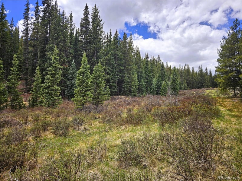 Looney Ln, Fairplay, CO 80440