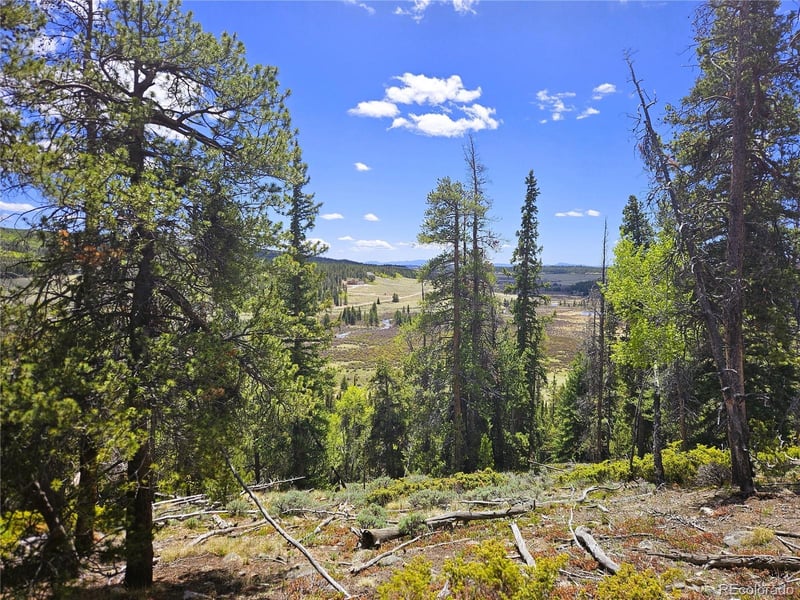 Looney Ln, Fairplay, CO 80440