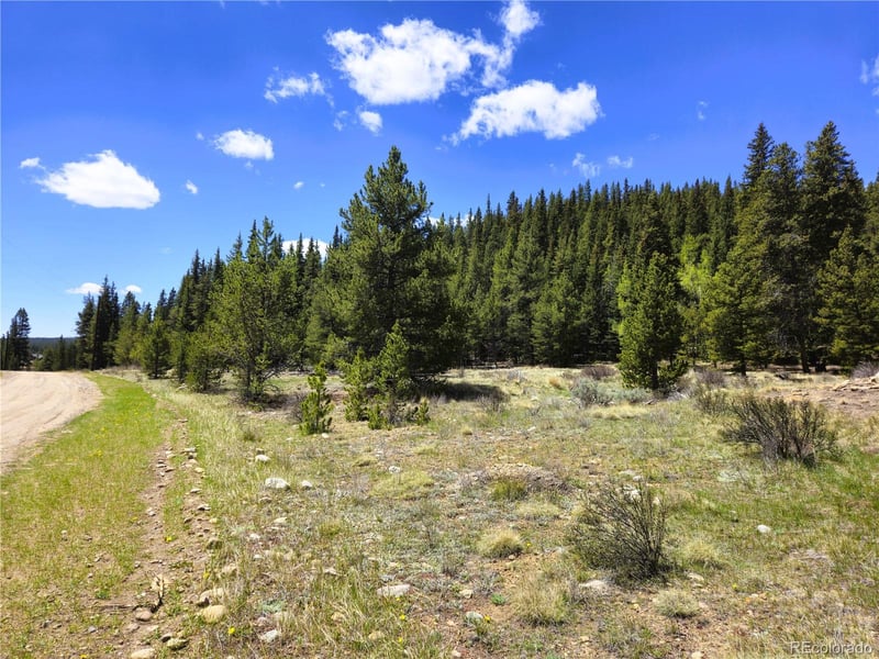 Looney Ln, Fairplay, CO 80440