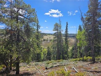 Looney Ln, Fairplay, CO 80440