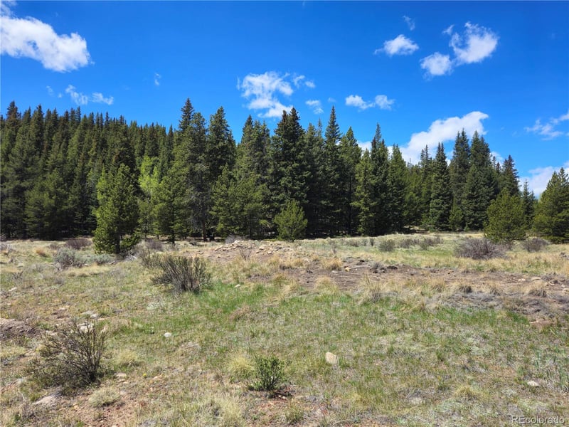 Looney Ln, Fairplay, CO 80440