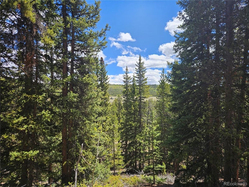 Looney Ln, Fairplay, CO 80440