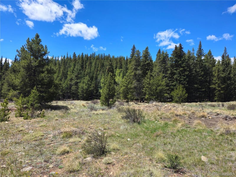 Looney Ln, Fairplay, CO 80440