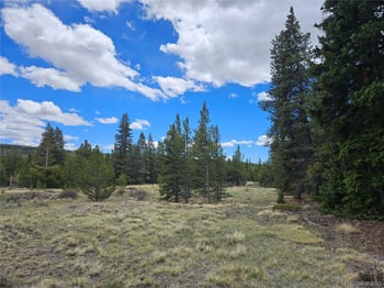 Looney Ln, Fairplay, CO 80440