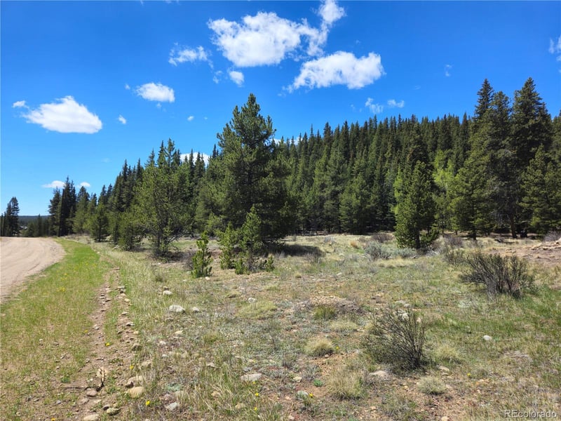 Looney Ln, Fairplay, CO 80440