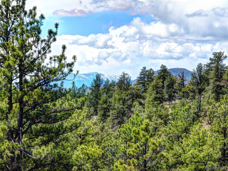 0 York Ct, Jefferson, CO 80456