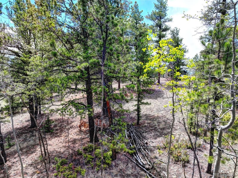 0 York Ct, Jefferson, CO 80456