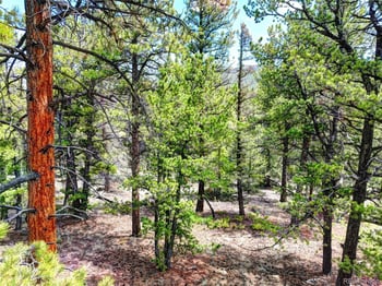 York Ct, Jefferson, CO 80456