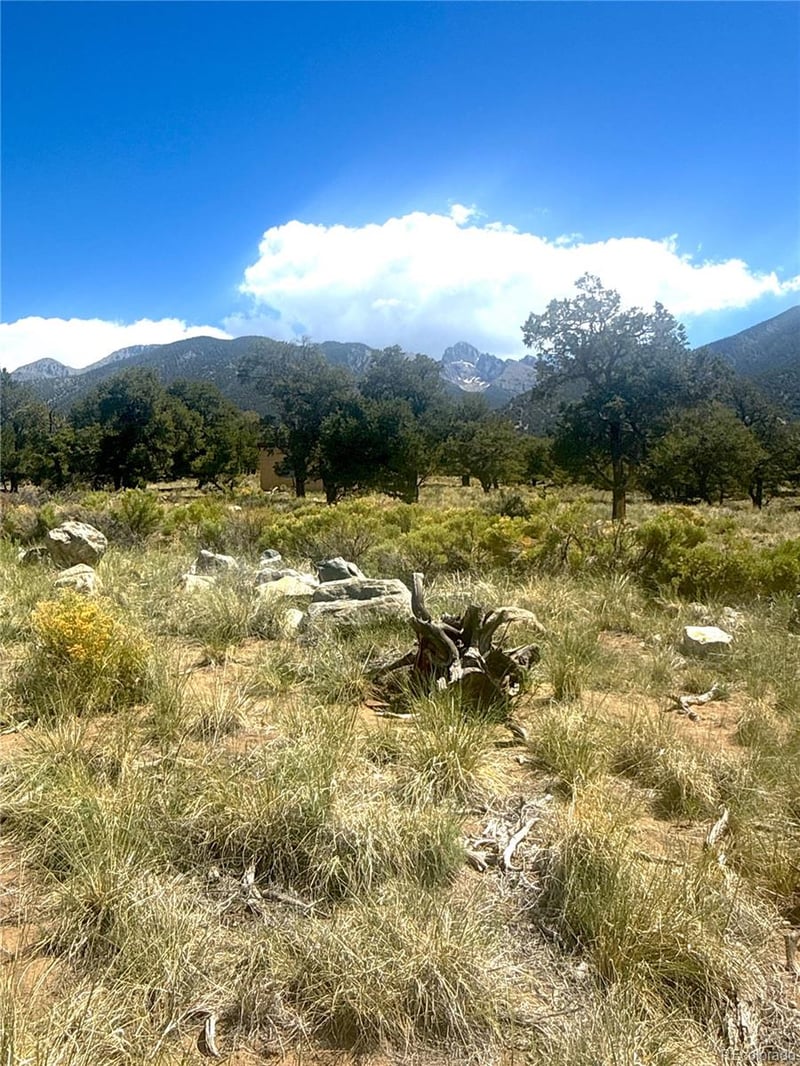 4469 Greenview Ct, Crestone, CO 81131