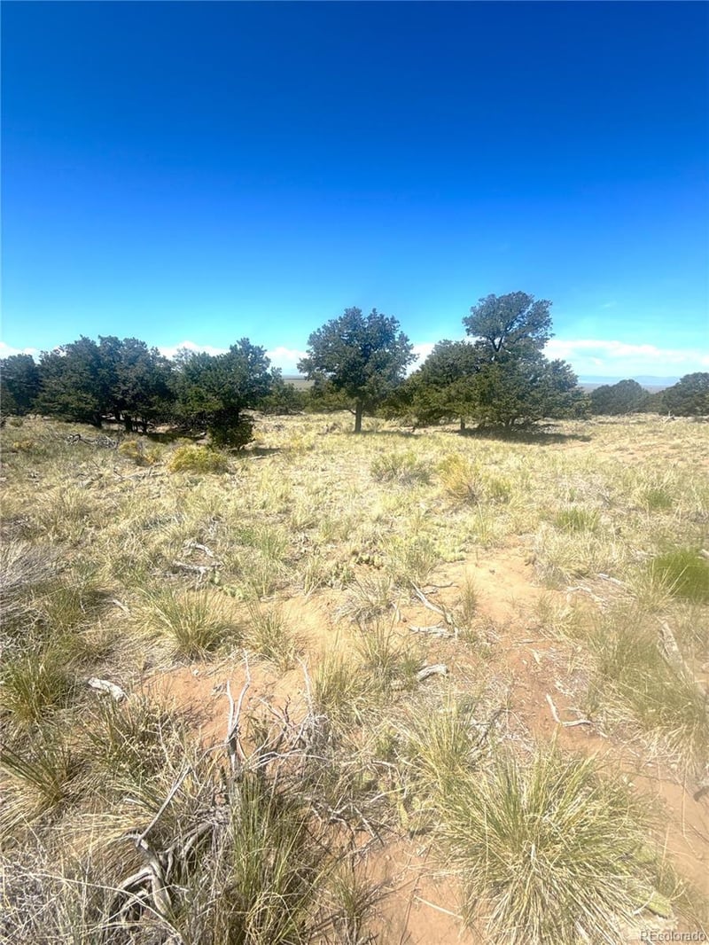 4469 Greenview Ct, Crestone, CO 81131