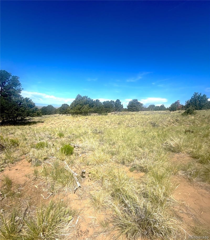4469 Greenview Ct, Crestone, CO 81131