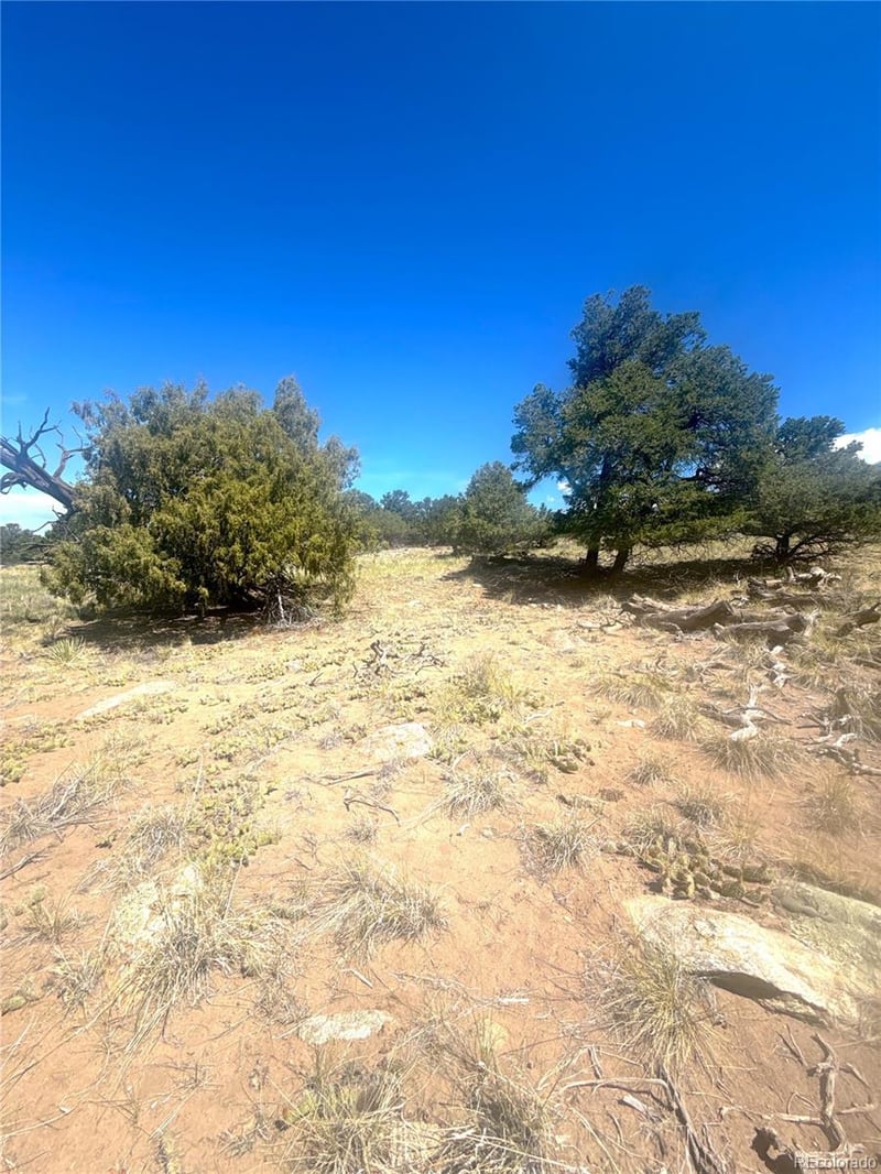 4469 Greenview Ct, Crestone, CO 81131