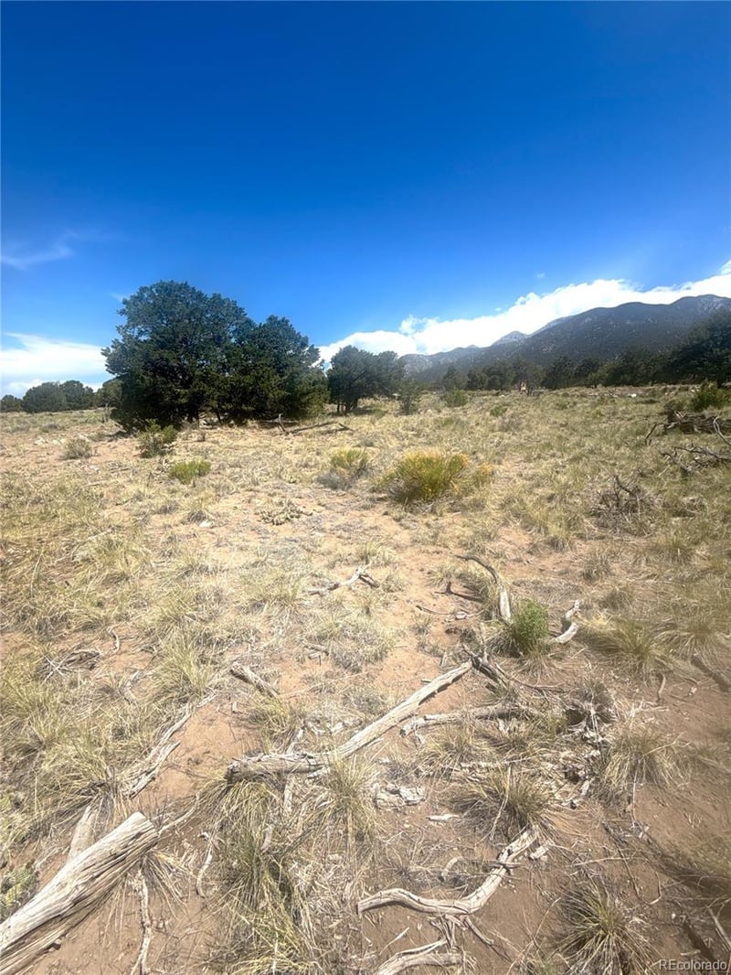 4472 Greenview Ct, Crestone, CO 81131