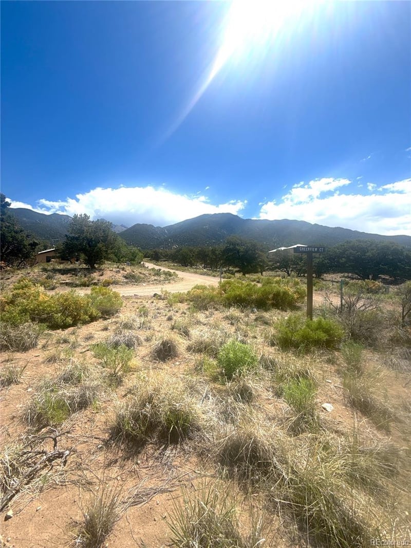 4472 Greenview Ct, Crestone, CO 81131