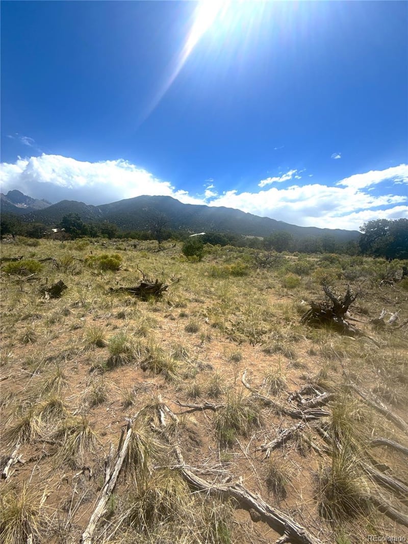 4472 Greenview Ct, Crestone, CO 81131