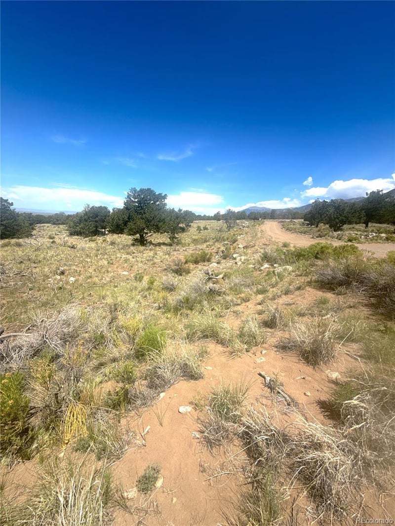 4472 Greenview Ct, Crestone, CO 81131