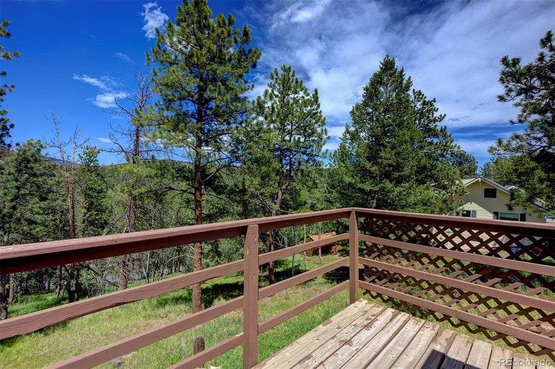 1899 Roland Dr, Bailey, CO 80421
