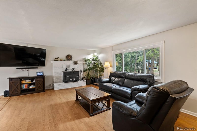 10 Ollie Ct, Woodland Park, CO 80863