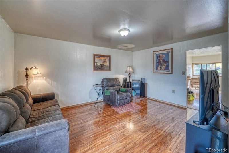 1705 Delane St, Leadville, CO 80461