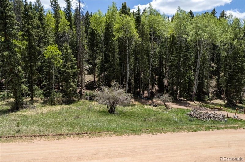 546 Spring Valley Ln, Florissant, CO 80816