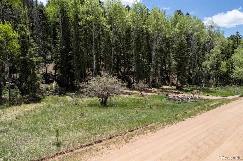 546 Spring Valley Ln, Florissant, CO 80816