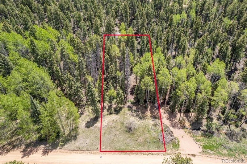 546 Spring Valley Ln, Florissant, CO 80816