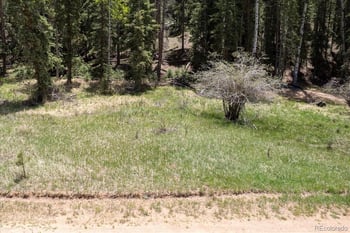 546 Spring Valley Ln, Florissant, CO 80816