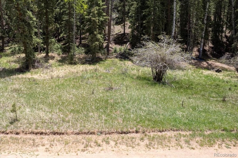 546 Spring Valley Ln, Florissant, CO 80816