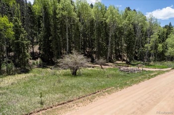 546 Spring Valley Ln, Florissant, CO 80816