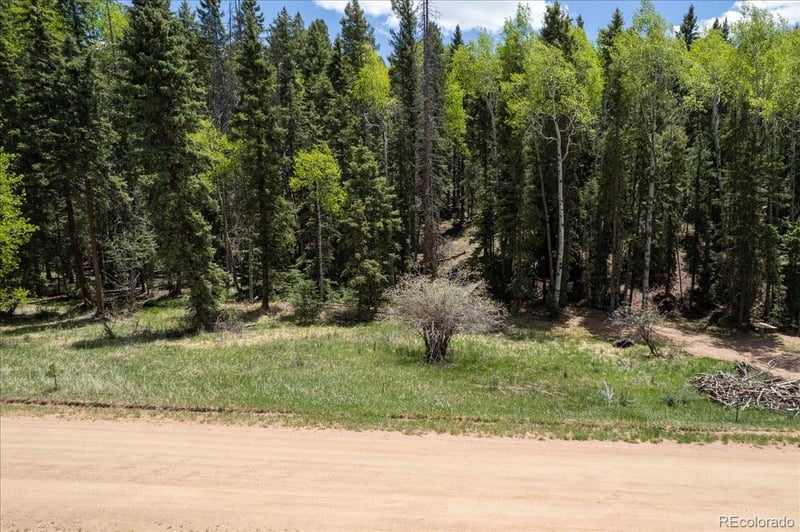 546 Spring Valley Ln, Florissant, CO 80816