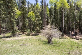 546 Spring Valley Ln, Florissant, CO 80816