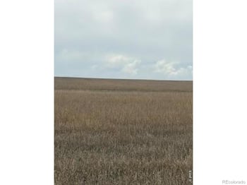 Peoria Crossing Rd, Bennett, CO 80102