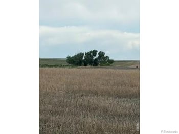 Peoria Crossing Rd, Bennett, CO 80102