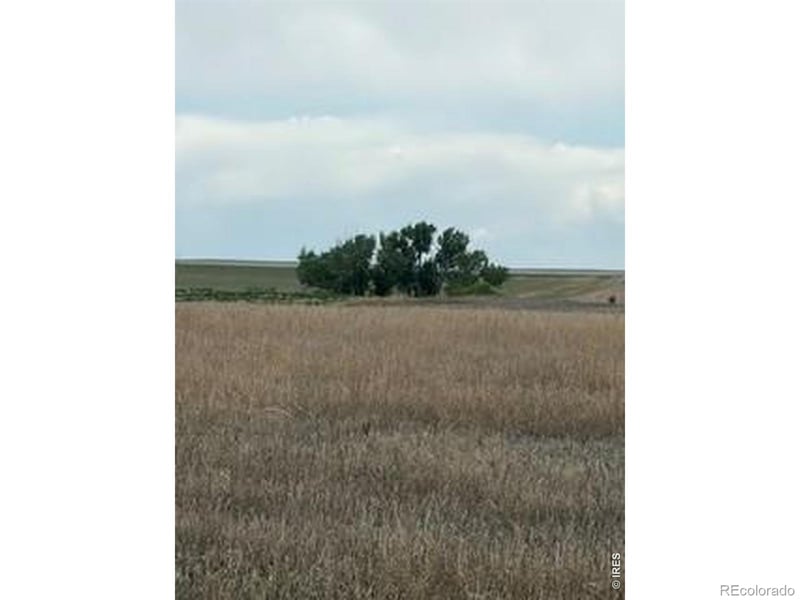 Peoria Crossing Rd, Bennett, CO 80102